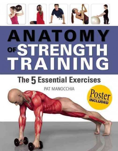 Anatomy of strength training : the five essential exercises / Pat Manocchia.