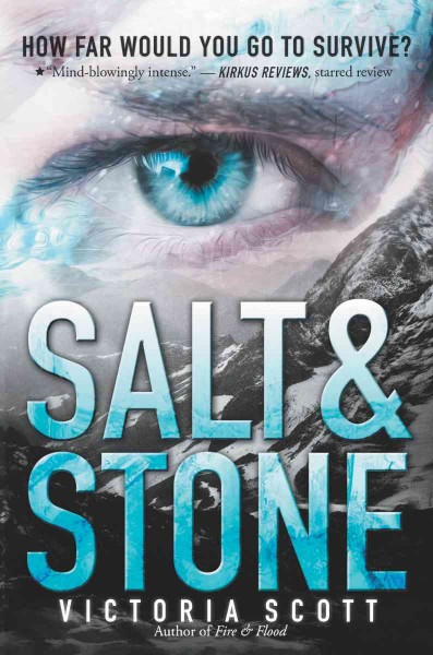 Salt & stone / Victoria Scott.
