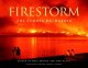 Go to record Firestorm : the summer B.C. burned